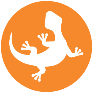 Terrarisztika akciók