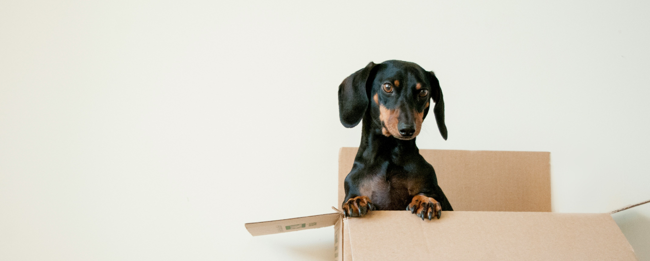 Panaszkezelés - Grandopet