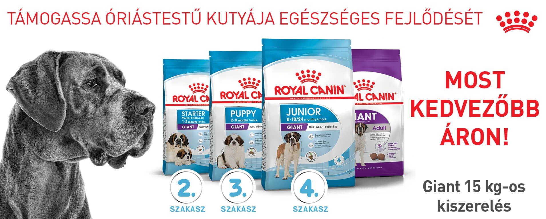Royal Canin száraz kutyatápok 7% kedvezménnyel