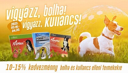 Bolha-kullancs elleni készítmények akciós áron