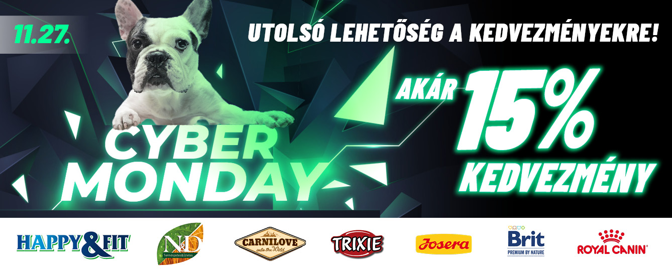 Cyber Monday