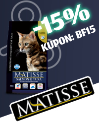 Matisse