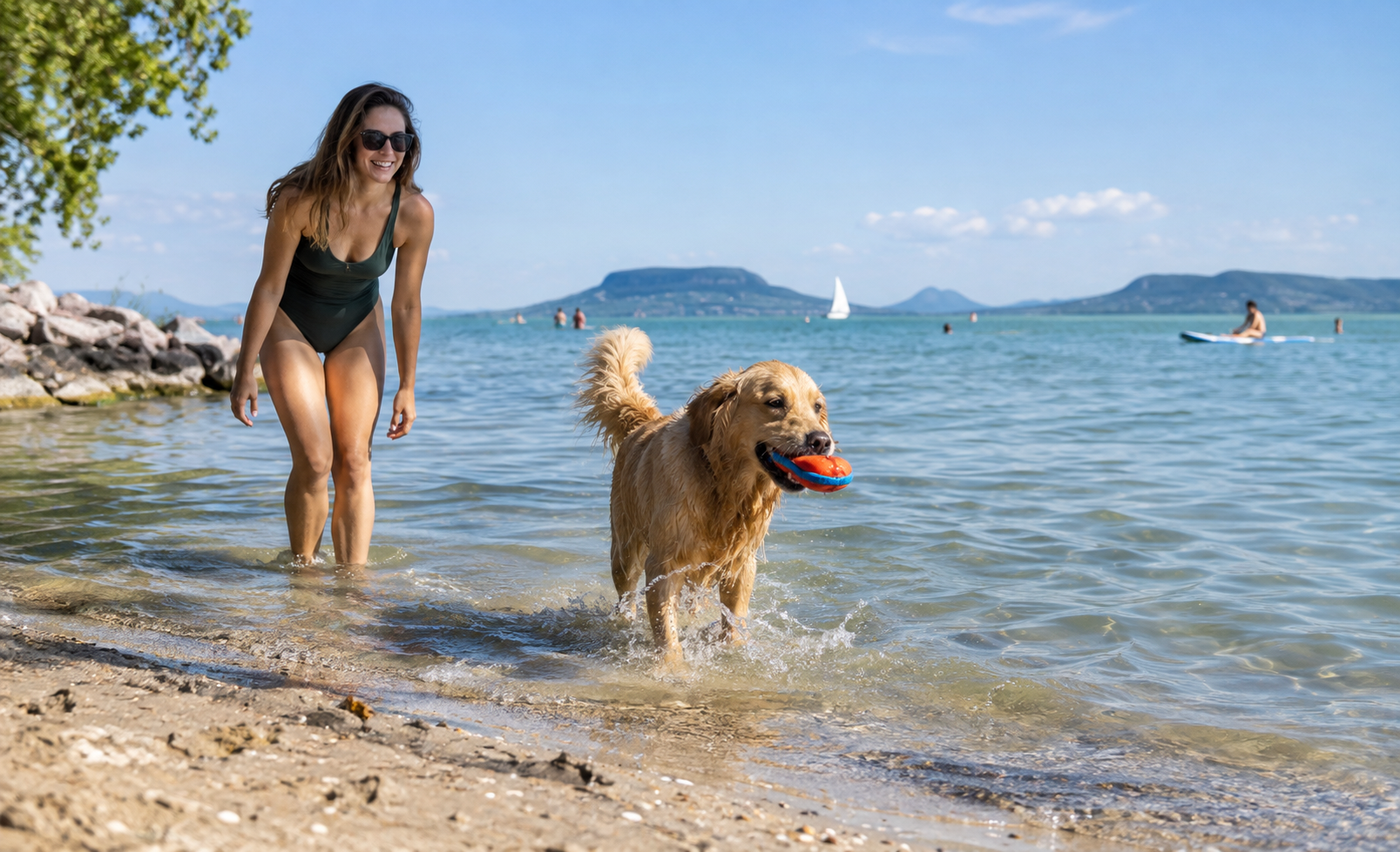 Kutya a Balatonban