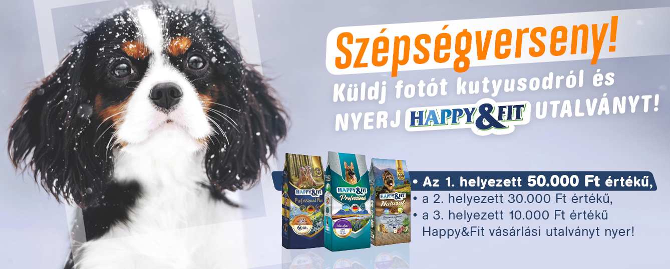 Kutya szépségverseny