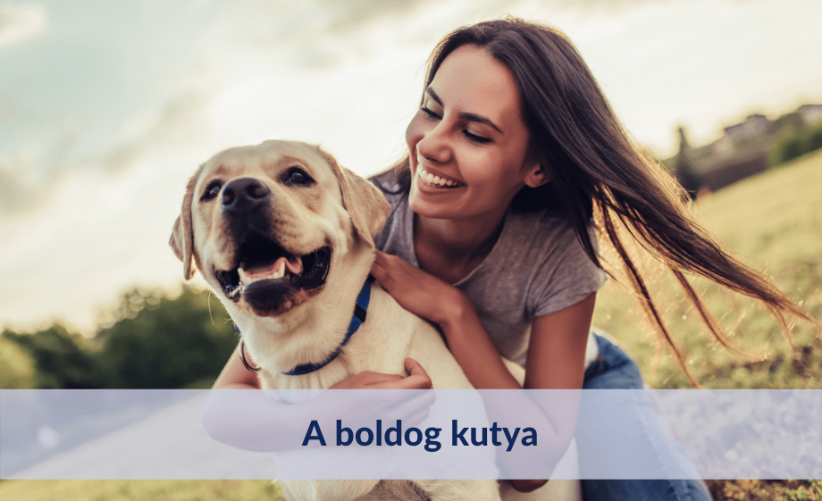 A boldog kutya egészséges