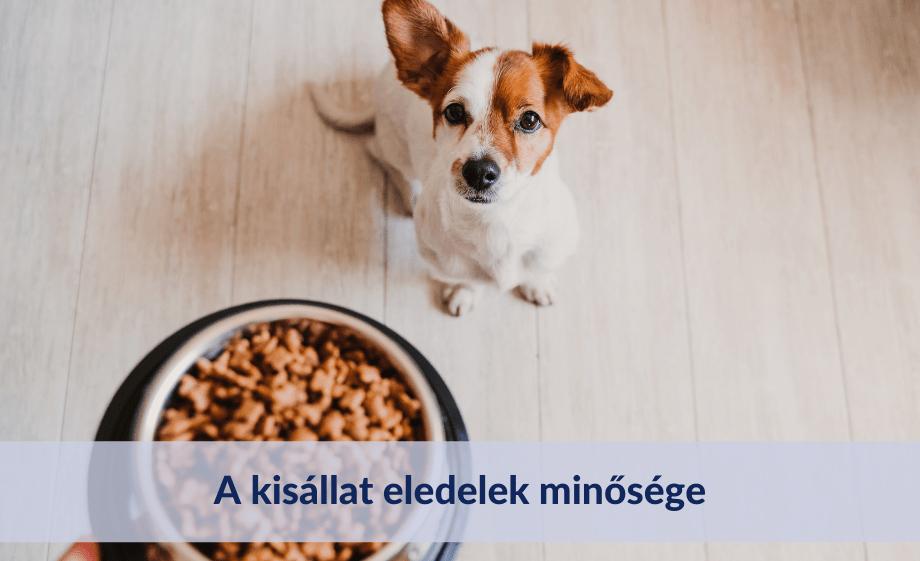 A kisállat eledelek minősége