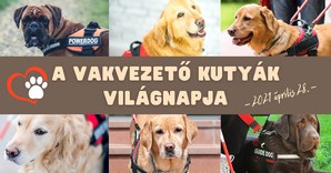 A vakvezető kutyák világnapja, 2021. április 28.