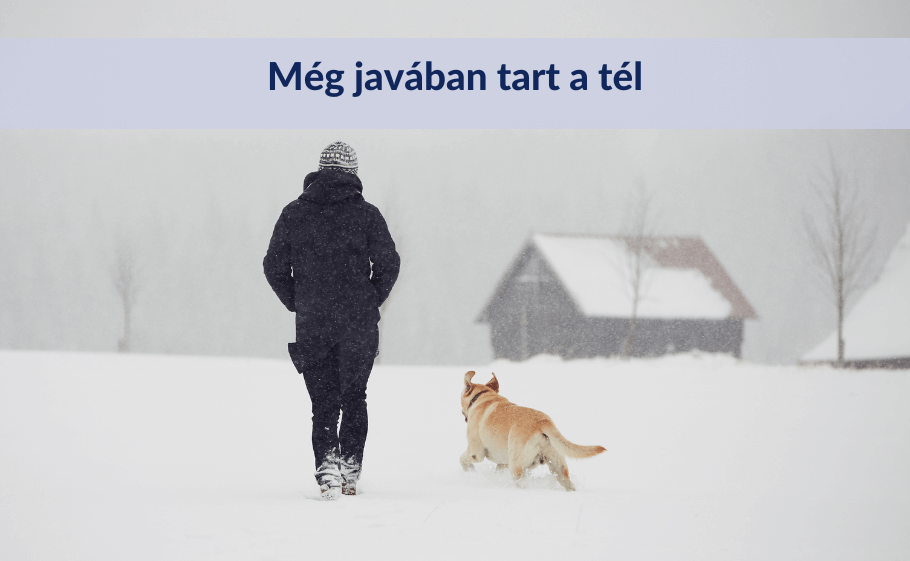 Még javában tart a tél – de elég-e egy kutyabunda kedvenceink egészségének megóvására?