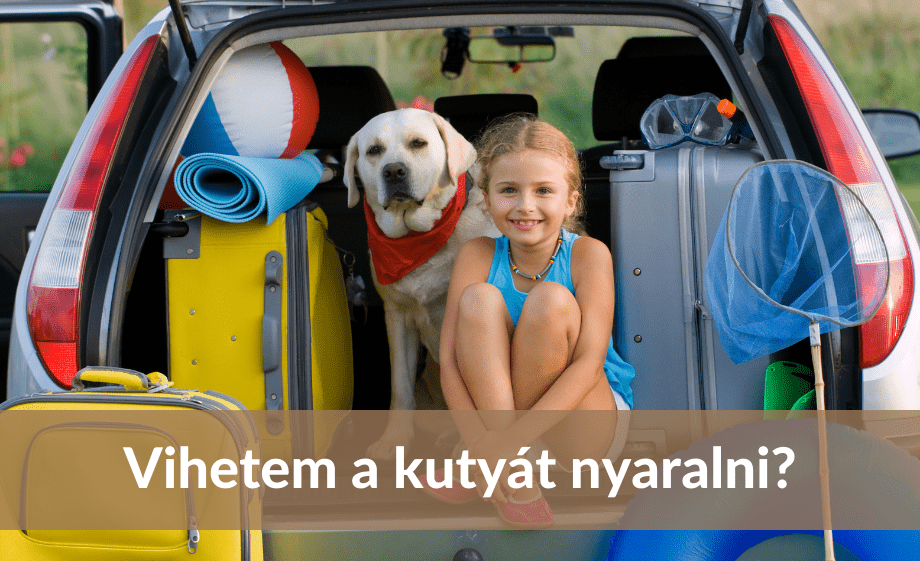 Vihetem-e magammal a kutyát nyaralni?