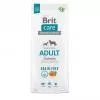 Brit Care Dog Grain-free Adult lazac, burgonya 12kg
