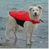 Trixie Mentőmellény kutyának 65cm, piros