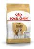 Royal Canin Beagle Adult 3kg-Beagle felnőtt kutya száraz táp