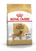 Royal Canin Golden Retriver Adult 12kg-Golden Retriver felnőtt kutya száraz táp