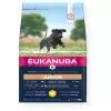 Eukanuba Junior Large kutyatáp 3kg