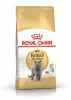 Royal Canin British Shorthair Adult 10kg-Brit rövidszőrű felnőtt macska száraz táp