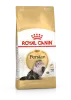Royal Canin Persian Adult 10kg-Perzsa felnőtt macska száraz táp