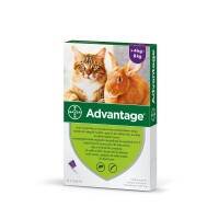 Advantage rácsepegteto oldat nagytestu macskáknak és nyulaknak A.U.V. 4 x 0,8 ml