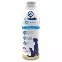 Oralade GI Support kutyáknak és macskáknak 500 ml