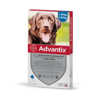 Advantix spot on 25-40 kg közötti kutyáknak A.U.V. 4 x 4 ml