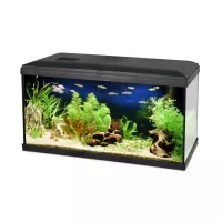 Akvárium Szett+Szűrő+Fűtő Pacific Eco Light  54l, 60x30x30cm
