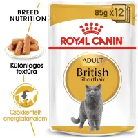 Royal Canin British Shorthair Adult 12x85g - Brit rövidszörű felnőtt macska nedves táp