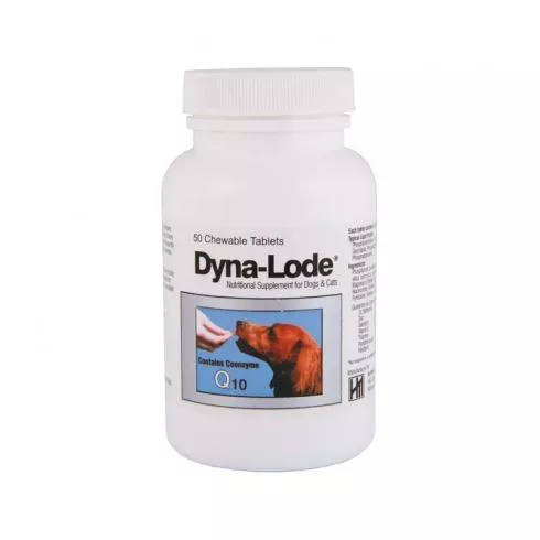 Dyna-Lode tabletta 50x