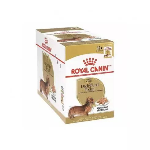 Royal Canin Dachshund Adult 12x85g- Tacskó felnőtt kutya nedves táp