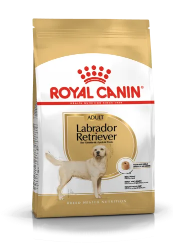 Royal Canin Labrador Adult 12kg-Labrador Retriever felnőtt kutya száraz táp