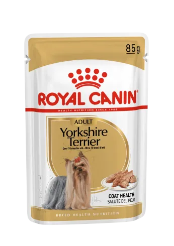 Royal Canin Yorkshire Terrier Adult 12x85g - Yorkshire Terrier felnőtt kutya nedves táp