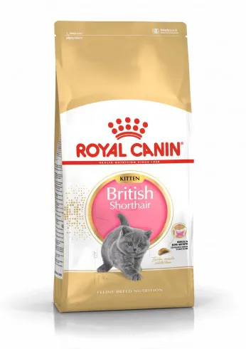Royal Canin British Shorthair Kitten 2kg-Brit rövidszőrű kölyök macska száraz táp