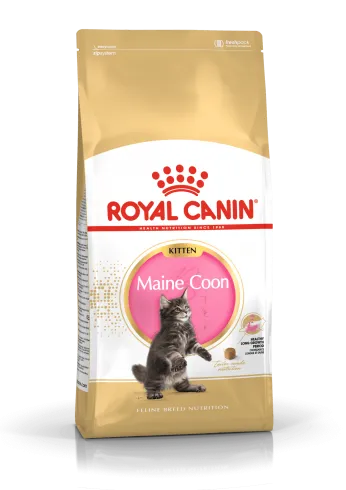 Royal Canin Maine Coon Kitten 400g-Maine Coon kölyök macska száraz táp