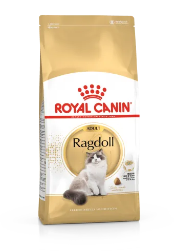 Royal Canin Ragdoll Adult 400g-Ragdoll felnőtt macska száraz táp