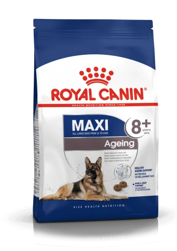 Royal Canin Maxi Ageing 8+ 15kg-nagytestű idős kutya száraz táp
