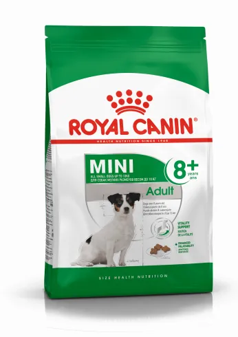Royal Canin Mini Adult 8+ 800g-kistestű idősödő kutya száraz táp