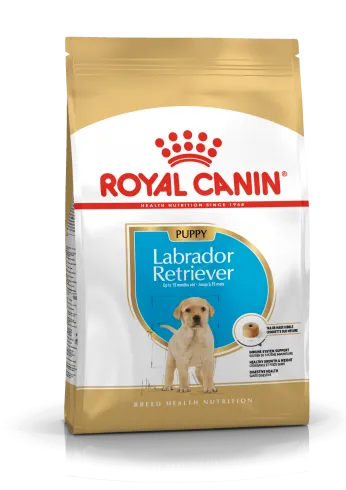 Royal Canin Labrador Junior 3kg-Labrador Retriever kölyök kutya száraz táp