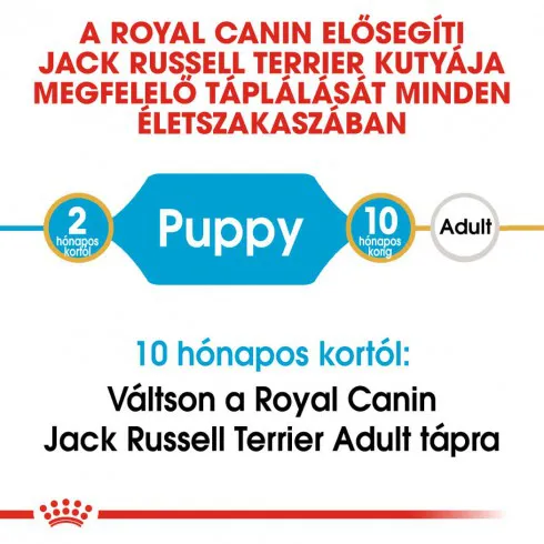 Royal Canin Jack Russell Terrier Junior 500g-Jack Russell Terrier kölyök kutya száraz táp