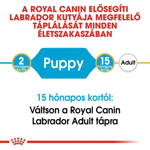 Royal Canin Labrador Junior 12kg-Labrador Retriever kölyök kutya száraz táp