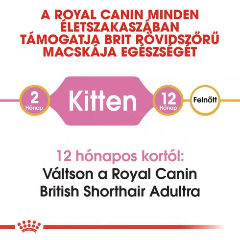 Royal Canin British Shorthair Kitten 400g-Brit rövidszőrű kölyök macska száraz táp