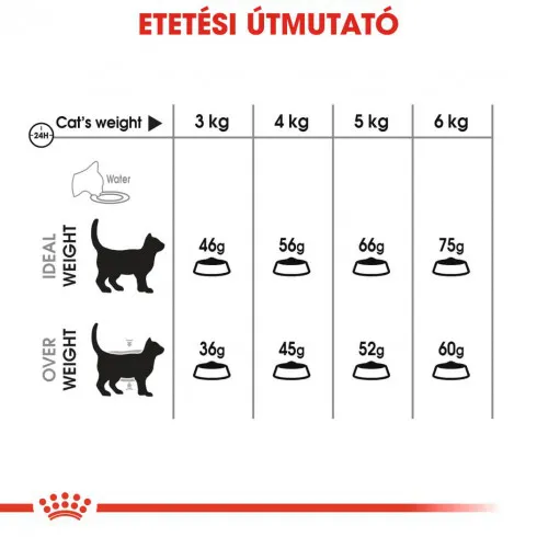 Royal Canin Oral Care 8kg-száraz táp felnőtt macskák részére a fogkőképződés csökkentéséért