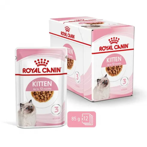 Royal Canin Kitten Gravy 12x85g - kölyök macska szószos nedves táp