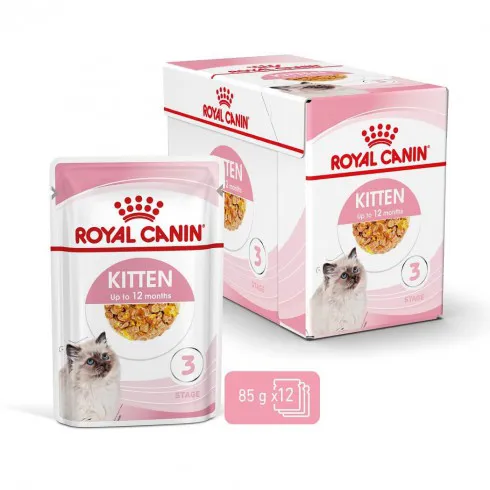 Royal Canin Kitten Jelly 12x85g - kölyök macska zselés nedves táp