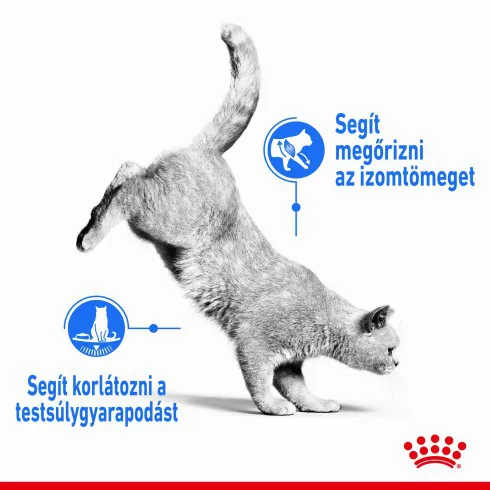Royal Canin Light Weight Care 85g-nedves táp felnőtt macskáknak az ideális testsúly eléréséért