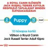 Royal Canin Jack Russell Terrier Junior 500g-Jack Russell Terrier kölyök kutya száraz táp