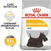 Royal Canin Mini Dermacomfort 1kg-száraz táp bőrirritációra hajlamos felnőtt kutyáknak RC272020