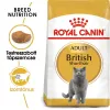 Royal Canin British Shorthair Adult 10kg-Brit rövidszőrű felnőtt macska száraz táp