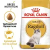 Royal Canin Ragdoll Adult 400g-Ragdoll felnőtt macska száraz táp