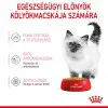 Royal Canin Kitten Jelly 12x85g - kölyök macska zselés nedves táp