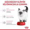 Royal Canin Kitten 2kg-kölyök macska száraz táp